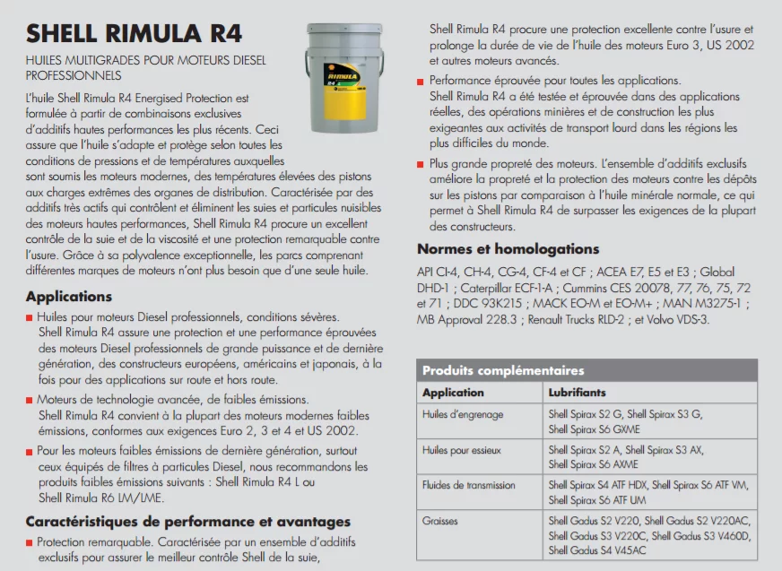 Shell_rimula_r4